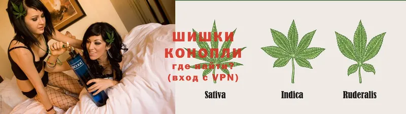 Бошки марихуана LSD WEED  даркнет какой сайт  Надым 